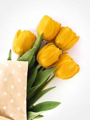 Tulipani Gialli