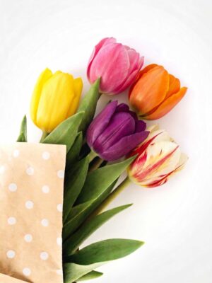 Tulipani Misti